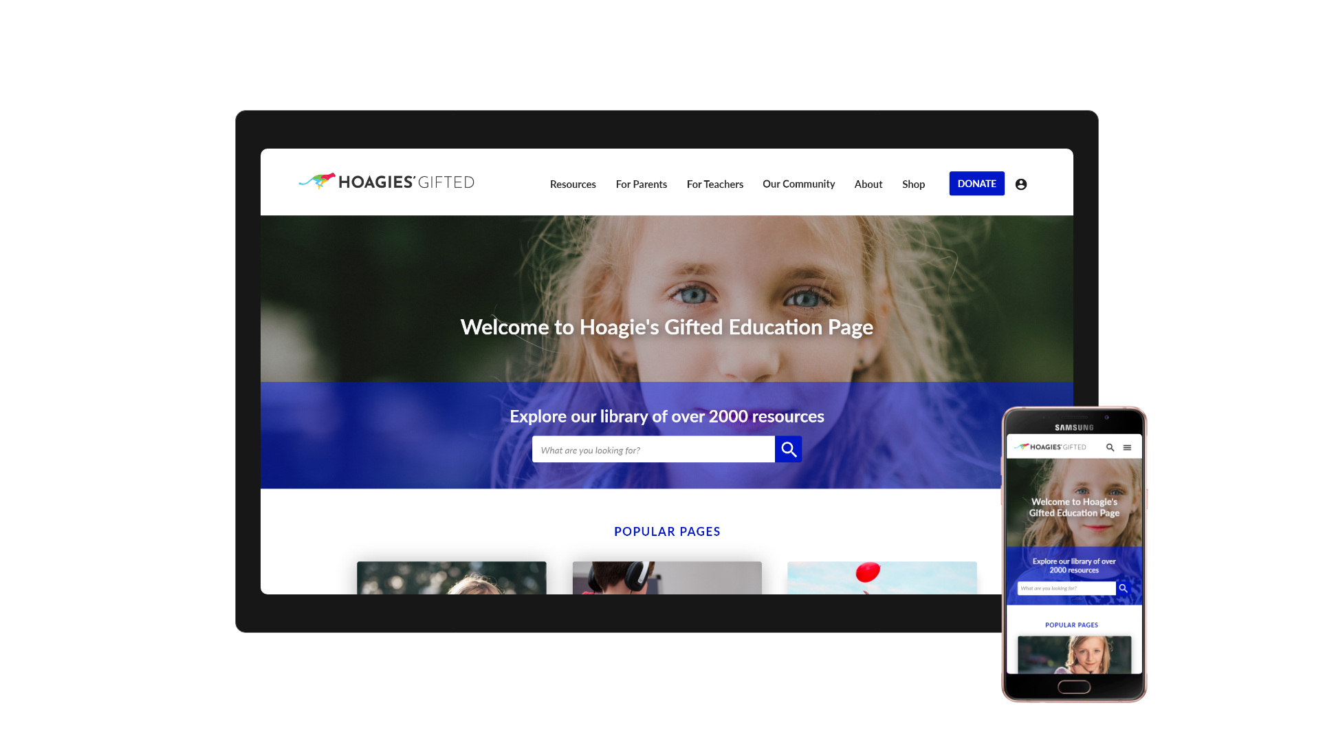 Hoagies Gifted Education Case Study